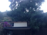 Street view - 1815 N Beverly Glen Blvd