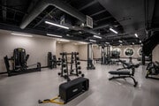 TechnoGym equipment - WilWest