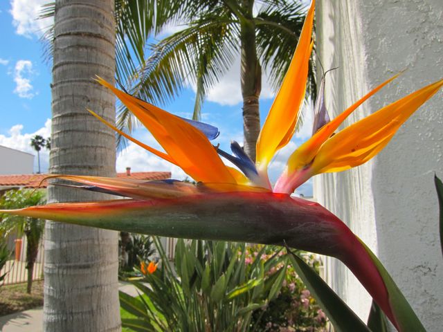 Photo - Casa Cortez Apartments