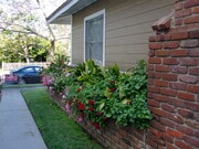 Walkway - 1712 Barry Ave Unit 1