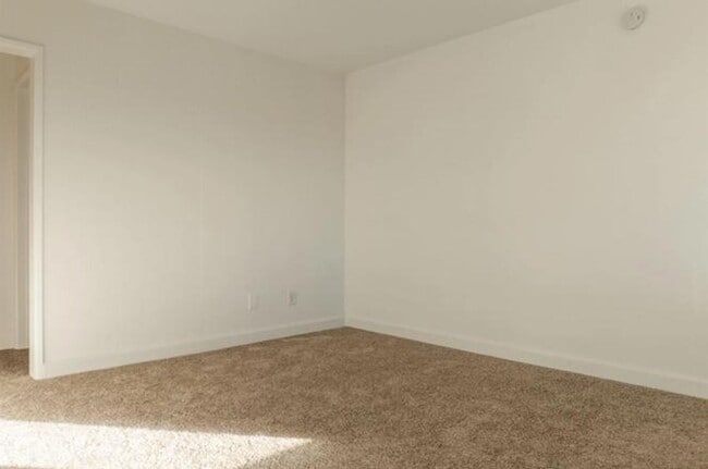 Photo - Pine Unit 4869  A