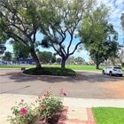 Photo - 46 Christamon W