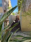 Photo - Single Story 4 Bedroom Solar home for rent