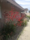 Photo - 4632 Canoga St