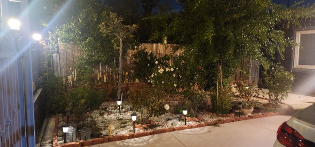 Photo - 10019 Tujunga Canyon Blvd
