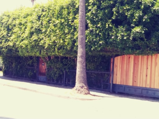 Photo - 1419 Meadowbrook Ave