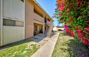 Photo - 1381 Burwood St Apartments Unit 1