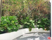 Photo - 1611 S Beverly Glen Blvd Unit 203