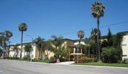 Velvet Green - Velvet Green Apartments