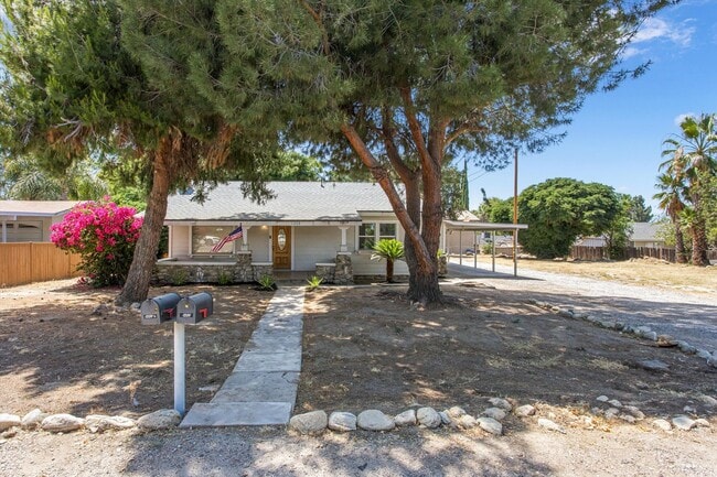 Photo - Newly renovated  1-bedroom backhouse in Mentone!