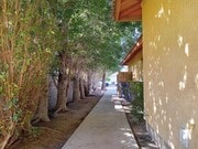 Photo - 33662 Whispering Palms Trail