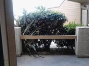 Photo - 101 W Olive Ave