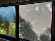 2 Bd rm window view - 1823 11th St