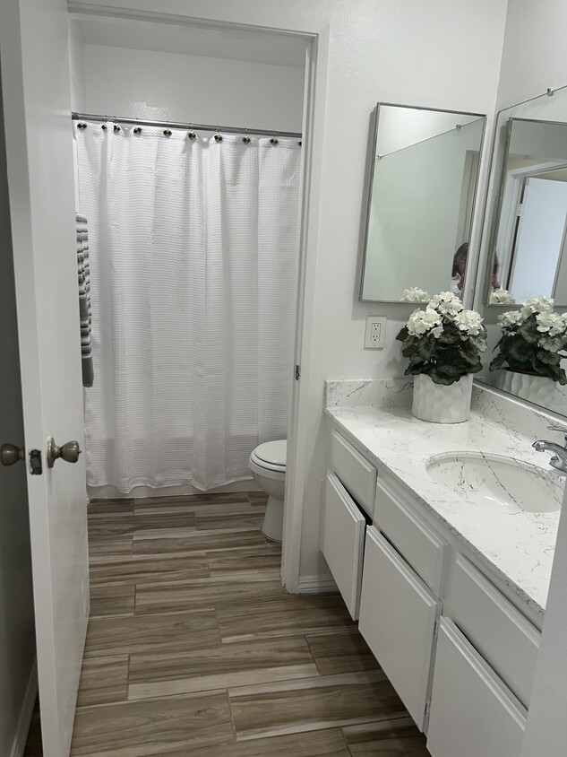 Floor Plan - 1 Bd 1 Ba