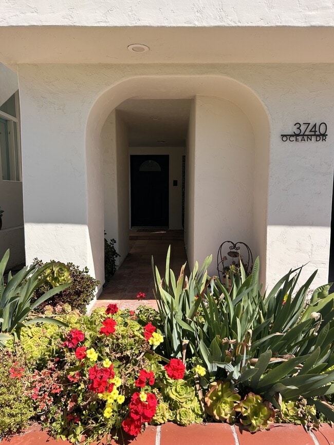 Photo - 3740 Ocean Dr
