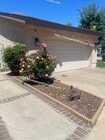 Photo - Nice House For Rent