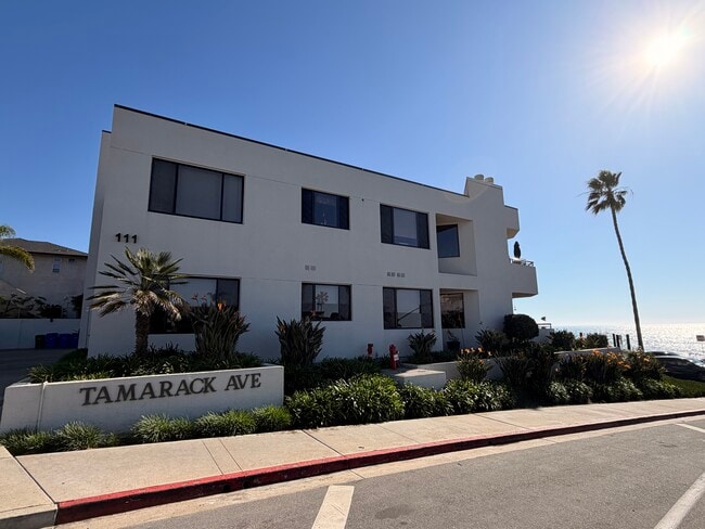 Building Photo - 111 Tamarack Ave Unit 305