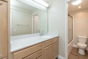 1BR, 1BA - 750SF - Bathroom - Mountainview Venture