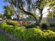 Photo - Comfortable 3-Bedroom Home in Moreno Valle...