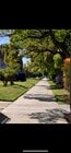 Tree lined sidewalks for walking pets - 3616 W Adams Blvd Apartments Unit 1