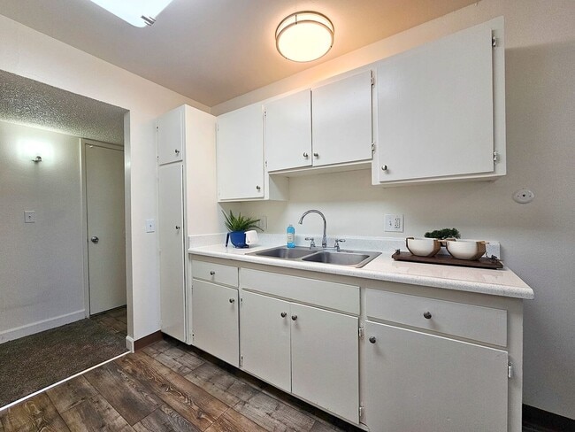 Photo - Shady Terrace