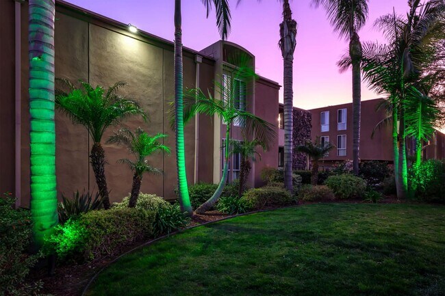 Photo - Dorchester Apartments | Spacious 1 & 2 Bedroom Apartments Near SDSU Unit 6545-13