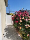 Photo - 22235 Burton St