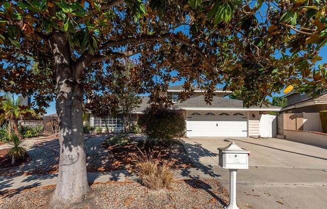 Photo - 363 Larcom St House