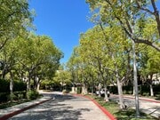 Entrance gated lined with trees - 19431 Rue De Valore Rue Unit 59P