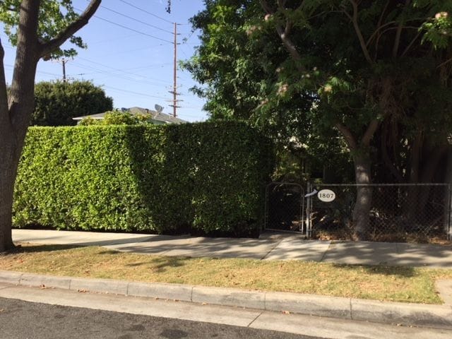 Photo - 1807 19th St Apartment