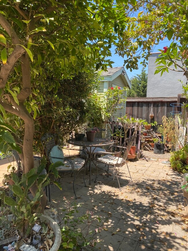 Middle Patio - 1845 Junipero Ave Unit Front House