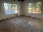 Photo - Archibald-7781