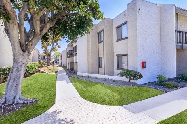 Photo - North Bonita Apartments