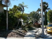 Front of building - 3056 Luna Dr Unit Studio