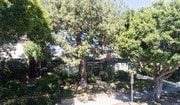 Photo - 1815 10th St Apartments