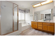 Master Bath - 21330 Dickinson Rd