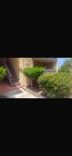 Photo - 3040 Alta View Dr Condo Unit D 108