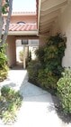 Photo - Freshly Painted 3 BR 3BA +Loft 2 Story Tow...