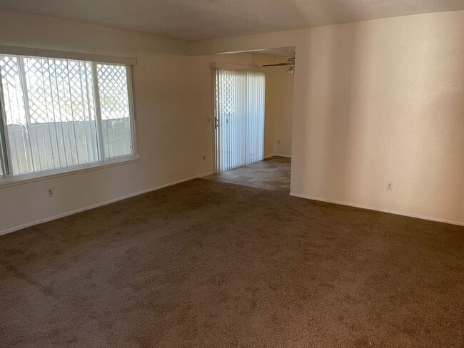 Photo - AVAILABLE NOW