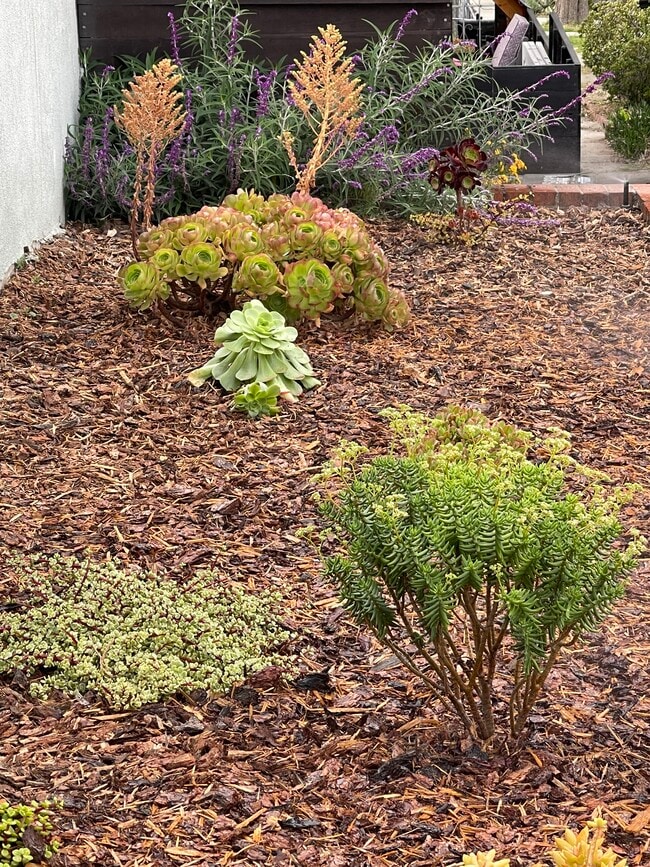 Photo - 3552 Sierra St Unit Northeast LA