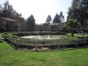 Photo - Beautifully Upgraded Condo in Rancho Bernardo Unit 101