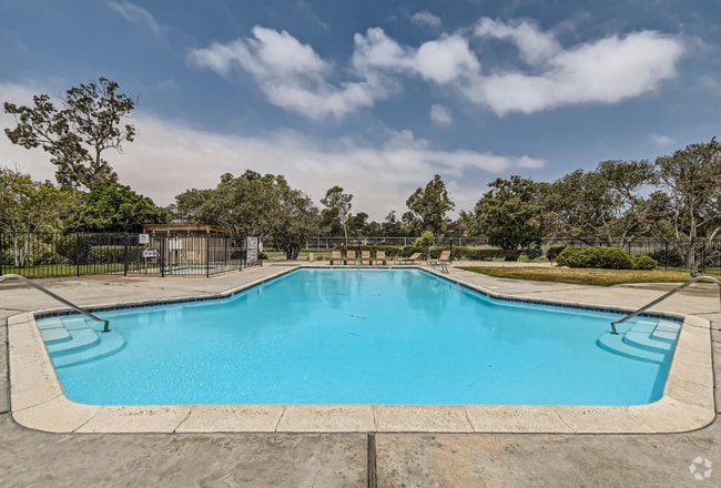 Building Photo - Live the Bonita Lifestyle – Views, Trails ... Unit 245 Rental