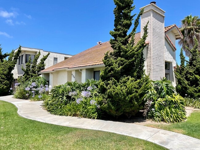 Building Photo - Spacious Updated Single Level Upstairs Unit D