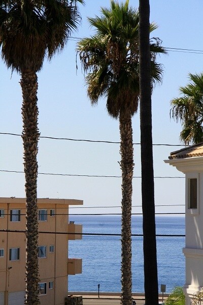 Floor Plan - 1 bdrm ocean view