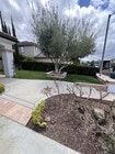 Photo - 42251 Harwick Ln