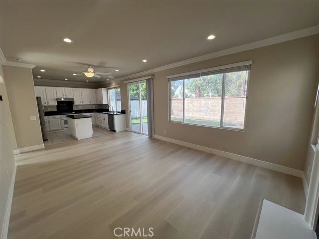 Photo - 43 Straw Flower