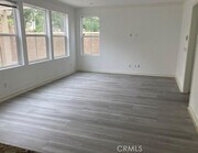 Photo - 67 Island Coral