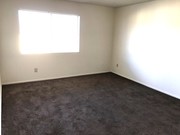 Photo - Peerless Building Corp.