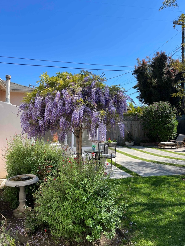 Photo - 2763 Burkshire Ave