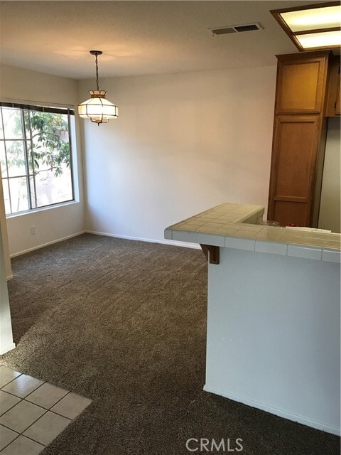 Photo - 21247 Camelia